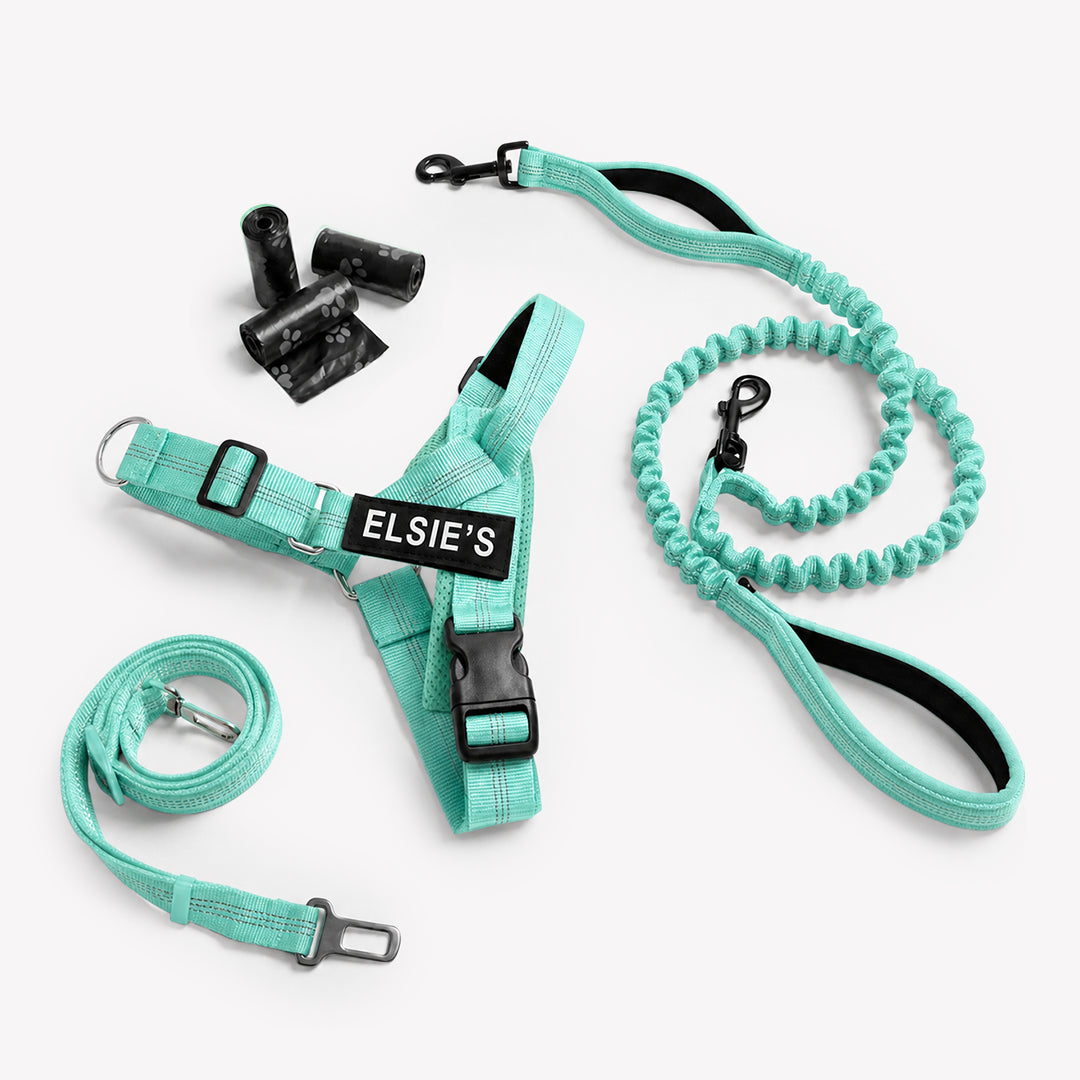 Turquoise