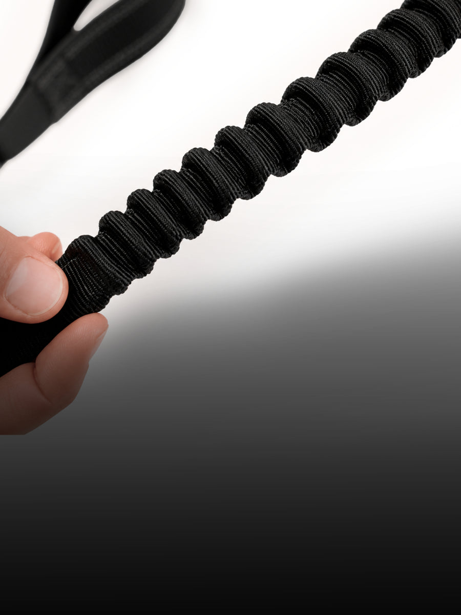 A Bungee Leash That Softens The Pull